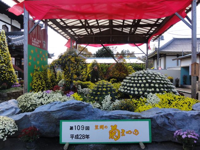 町内親睦会で笠間のきくまつりへ。日本最古の菊まつりは今年で109回目の開催、初めて菊人形も見ました。JA常陸の売店「土からのたより」で買い物、茨城県陶芸美術館では目の保養もしました。