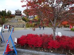 上田城の紅葉を見に