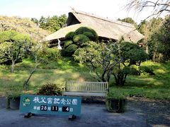 富士山と紅葉を求めて駿河路・甲斐路の旅　3日目　☆秩父宮記念公園