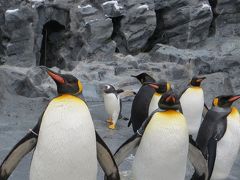 ついに来ました！旭山動物園　2016年初雪の翌日のことでした　－　午後編