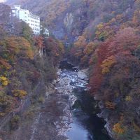 両親を連れて老神温泉で一泊、紅葉を愛でる旅