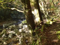 紅葉の小田深山渓谷の道　松山→砥部→小田→小田深山