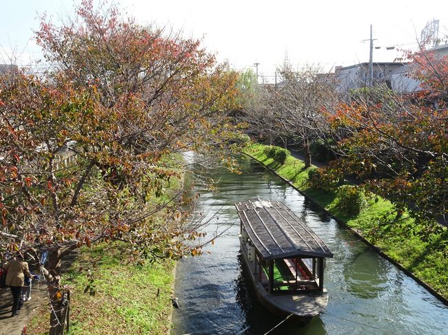 ここ数年、子育てを卒業（下の子が大学卒業）しやっと自分の時間を楽しめるようになりました。人ごみが嫌いで避けていた紅葉にも出かけられるようになり楽しんでいます。<br /><br />友人の友人という遠い関係の方が持っておられる会員権に甘えて、会員制のホテル「XIV（エクシブ）」の有馬離宮には２回泊まらせていただいたのですが、京都にも泊まってみたいということで、この秋は初の京都XIVに泊まっての紅葉旅行です。<br /><br />紅葉には少し早く、どこに行くかで紅葉情報を毎日チェックしながら迷いましたが、お天気にも恵まれ十分楽しむことができました。<br /><br />１１月１１日（金）は、仕事や予定があって遅れて集合する友人とは別に日本酒好きの友人と（もちろん私も）、伏見辺りを楽しみました♪