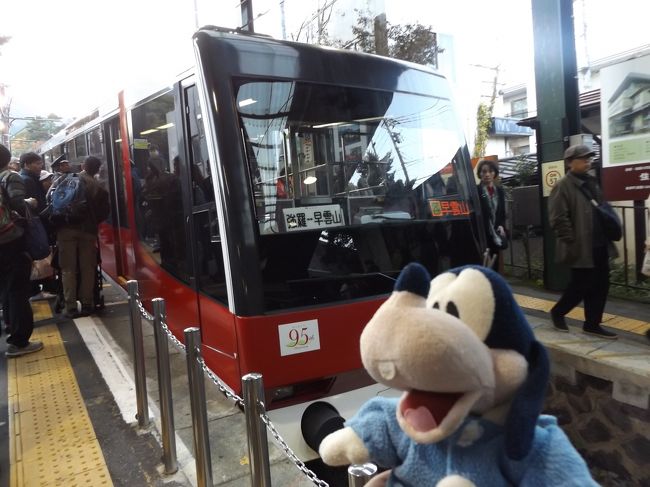 グーちゃん、秋の本合宿で箱根強羅へ行く！（規制解除後の箱根へ！編）