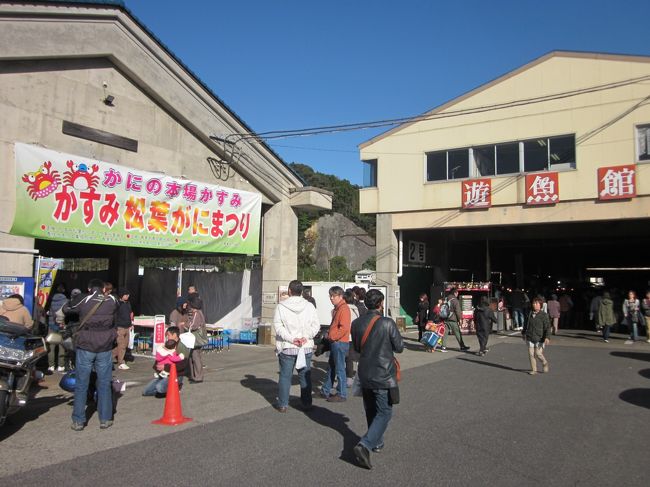 毎年１１月の第二日曜日は「かすみ松葉かに祭り」が香美町にて行われます。<br />もともとは旧香住町の西漁港一帯で始められたものが、毎年盛大に成ってＴＶなどにも取り上げられて、町最大のイベントに成ってしまいました。<br /><br />実は私の母方の故郷で～、子供の頃から慣れ親しんだところ、もちろん親戚も根っからの漁師一筋の家で、蟹や鰈にスルメ烏賊などはずっと慣れ親しんだ味なんです～。<br /><br />でも、かに祭りなんぞは関心も無くていつもＴＶで見てました～、だから一度も行ったことが無く遠い存在でした～。<br /><br />今年はたまたま行く機会が出来たので、敢えて豊岡市内に宿泊して美味しいものを食べるぶらぶら歩きにしました。<br />まぁ～、たまには親戚に寄らずに行くのも気が楽で好いもんです！。<br /><br />しかし、松葉かには昔も今も値が高いですね！、庶民には高嶺の花と化してしまいました…。<br /><br />