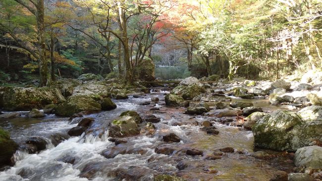 小田深山渓谷の紅葉を深山荘に泊まって朝夕、遊歩道を散策しました。<br />一歩、進むたびに見える光景が代わってきます。<br />巨石・梢・水面・ミソサザイ等々、いろいろな役者が登場して楽しませてくれます。<br /><br />日が落ちていく、日が昇ってくる。<br />それに従って、紅葉の色合いが変わってきます。<br /><br />太陽の光が渓谷に差し込む瞬間の変化を探しに渓谷を歩いてみました。<br /><br />