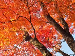 丹波篠山もみじ三山を巡る