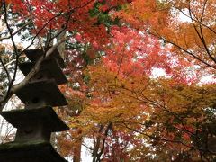 石油王の館、中野邸の紅葉・・・