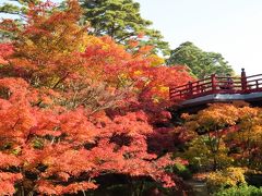 弥彦公園、もみじ谷の紅葉・・・