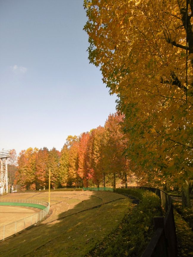 １１月１３日（日）、近くの運動公園に紅葉見物に行った。<br />ピークは過ぎていた感じだったが、なかなかきれいだった。<br /><br />翌日の１４日（月）、これまた車で１０分弱のカフェに行って見た。<br />４月にオープンした噂の「里山カフェ　チキ」は、以前に日光市でペンションを経営していた方が開いたものだ。<br />平日月曜日だというのに、店内は瞬く間に満席。<br />ランチメニューは今のところ少ないが、今後が期待できそうである。<br />