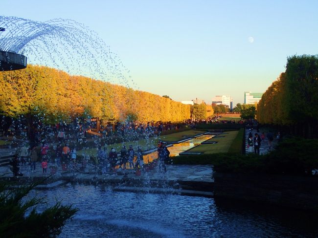 東京都多摩立川市昭島市にまたがる<br />国営昭和記念公園を１年ぶりに訪れた。<br /><br />本日は、68年ぶりの<br />ウルトラスーパームーン<br />の13夜。<br />満月に少し欠ける上弦の月。<br /><br />午後４時半には、公園閉園とあって、<br />13夜のスーパームーンが<br />欧州カナール庭園東側に<br />見れるかどうかの瀬戸際<br />だった。<br />何とか画像にはそれらしきもの<br />が写っていた。<br /><br />理屈抜きに、<br />日本庭園紅葉と<br />欧州型水路カナール庭園<br />銀杏並木黄葉を<br />堪能。<br /><br /><br />（因みに、昨年度の紅葉黄葉は<br />↓です。<br />http://4travel.jp/travelogue/11077960）<br /><br /><br />まずは、昭島側の銀杏並木<br />いちょう橋<br />かたらいの並木<br />から歩いて見た。<br /><br />黄色と赤のコラボで、東京の秋を<br />思う存分満喫できたように思う。<br /><br />日本庭園では、<br />津軽三味線と<br />ギターという、<br />稀なデュオグループの<br />不思議でそれでいて<br />極めて新鮮な<br />コラボサウンドが響いていた。<br />しばし、<br />心地よいサウンドに浸った。<br /><br />圧巻はやはり<br />本年も<br />欧州型水路カナール庭園だった。<br /><br />表題画像は、<br />そのカナールの<br />イチョウ並木。<br />空には<br />スーパームーンの<br />13夜上弦の月が<br />写っていた。<br /><br />