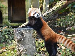 よこはま動物園