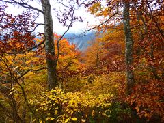 2016年11月3日（木）　樹氷・紅葉の美　国立公園大山登山　文化の日