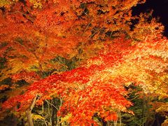 冬桜と紅葉のコラボを見たくて出かけてきましたが、見頃だったのは紅葉だけでした〈２〉［埼玉・神川と長瀞］