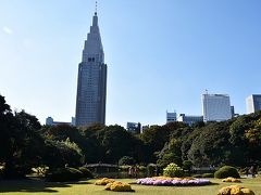 小春日和の新宿御苑で秋をあそぶ。