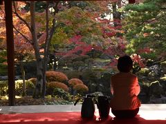 「豪農の館」に赤く染まるもみじを座敷から眺める贅沢さ 2016（新潟）