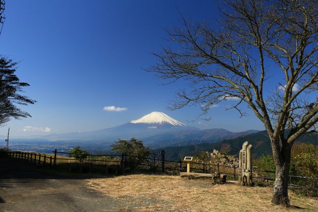 空気が澄んでくる11月12月は富士山を眺める山旅のシーズン。天気が良さそうだったので、久しぶりに綺麗な富士山を見たくて大野山に登ってきました。大野山は比較的アクセスが良く、またコースタイムも短いので(4時間程度）、ハイキング感覚で気楽に楽しめる山。富士山の眺めもGoodです。<br /><br />大野山のハイキングは、山北駅（あるいは小田急の新松田駅からバスで大野山登山口）から登り、谷峨駅に下るコースが紹介されてるケースが多いような気がします。私も以前登った時はそうしました。今回は、逆ルート（谷峨駅から登り、山北駅に下る）を歩きましたが、富士山を眺めながらの登りになること、ゴールの山北駅には温泉施設があり下山後に温泉が楽しめることから、こちらがお勧めです。