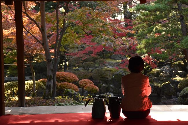 江戸時代中期、越後の蒲原平野の集落「沢海（そうみ）」に農より身を起こし、越後随一の豪農になった伊藤家。<br />明治期に入り、全盛期には1市4郡64ヶ町村に1,370町歩（1,370万㎡）の田畑を所有、昭和期には県下一となり作徳米は3万俵余でした。<br />明治15年から8年がかりで建てられた伊藤家の豪壮な本邸は、敷地8,800坪、建坪1,200坪、部屋数65を数える純日本式住居です。<br />戦後農地解放により土地は伊藤家からの所有から離れ、現在は「財団法人 北方文化博物館」に寄付され、「豪農の館」として国の登録有形文化財に登録されています。<br /><br />秋になると庭園のもみじが色鮮やかに赤く染まり、大広間の座敷から眺める贅沢なひと時を過ごすことができます。<br />