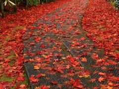 新潟　紅葉めぐり～長岡市 もみじ園、村松公園、加茂山公園、如法寺、久成院