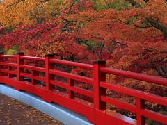 新潟　紅葉めぐり～弥彦公園　もみじ谷、旧齋藤家別邸、北方文化博物館、旧県知事公舎記念館