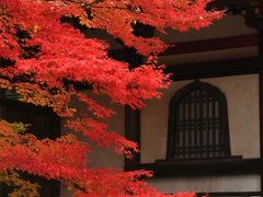 長野　紅葉めぐり～称念寺、西敬寺、正受庵、清水寺