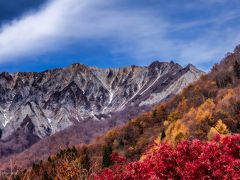 大山　紅葉と　山の雪　見事でした～　　素晴らしい景色!! 　