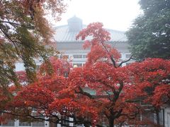 西洋館の紅葉がいい感じ（11月14日）