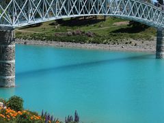 大好きNZ　クライストチャーチからテカポ一泊旅行