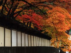 新潟・長野　紅葉めぐり～ダイジェスト