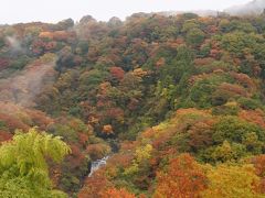 箱根の紅葉がいい感じ（11月14日）