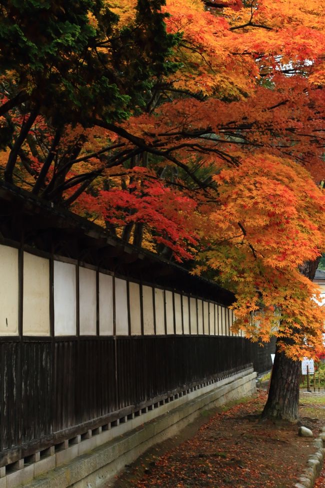 新潟・長野の紅葉めぐりへ。<br /><br />1日目　新潟県<br />長岡市　もみじ園<br />新潟市　中野邸美術館/もみじ園<br />新潟市　堀出（ほりいで）神社<br />五泉市　村松（むらまつ）公園<br />加茂市　加茂山（かもやま）公園<br />三条市　如法寺（にょほうじ）<br />三条市　本成寺（ほんじょうじ）久成院（くじょういん）<br /><br /><br />2日目　新潟県<br />弥彦村　弥彦（やひこ）公園　もみじ谷<br />新潟市　旧齋藤家別邸<br />新潟市　北方（ほっぽう）文化博物館<br />新発田市　旧県知事公舎記念館<br />新発田市　清水園（しみずえん）<br />新発田市　市島邸（いちしまてい）<br /><br /><br />3日目　長野県<br />飯山市　称念寺（しょうねんじ）<br />飯山市　西敬寺（さいきょうじ）<br />飯山市　正受庵（しょうじゅあん）<br />長野市　清水寺（せいすいじ）