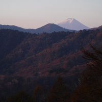 奥多摩の酉谷山へ破線ルートを辿って　登り矢岳のフナイド尾根、下り熊倉山の尾根へ