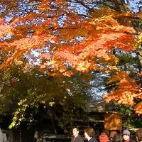 姉妹夫婦でみちのく旅行（二日目）