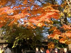 姉妹夫婦でみちのく旅行（二日目）