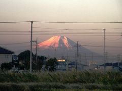 今朝の早朝ウォーキングは北風が強い影響で富士山の素晴らしい姿を見ながら歩くことが出来た
