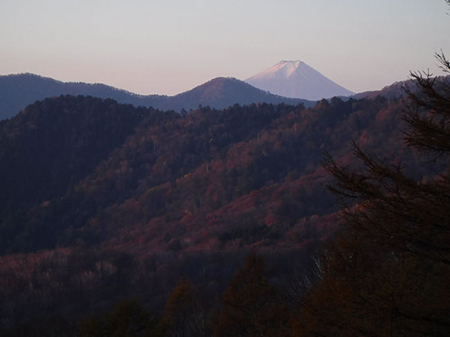 以前、長沢背稜を歩いた時に地図を見ていて気になっていたのが、秩父側から入山する2つの破線ルート。<br />破線ルートとは、登山道でも人があまり入っていないため道が不明瞭で通常より高い登山レベルを求められるルートのこと。<br />1つは矢岳を有する東側の尾根。もう1つは熊倉山から酉谷山にダイレクトに登る尾根。いつか行きたいと思っていた稜線歩きを酉谷山テント泊にて同時に実行しました。まさに一度に二度美味しいとはこのことですね。<br /><br />1日目：5時間40分<br />清雲寺9:05～9:40若御子峠～10:05若御子山～10:22大反山～10:40東電69号鉄塔～12:20矢岳～13:00赤岩ノ頭～13:40立橋山～牛首～14:25坊主山～14:40酉谷山避難小屋（テント泊）<br /><br />2日目：5時間15分<br />酉谷山避難小屋6:50～7:00酉谷山～7:30小黒～8:30檜岳～9:00蝉笹山～9:21熊倉山9:40～10:00笹平～10:40日野コース登山口（林道三又線終点）～11:40武州日野駅11:43～電車～11:46武州中川駅～12:05清雲寺