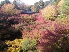 京都、奈良の紅葉を見てまわりました。