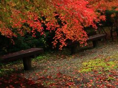 新潟　紅葉めぐり～中野邸美術館/もみじ園、堀出神社