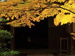 新潟　紅葉めぐり～清水園、市島邸