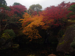 箱根美術館で紅葉～～！