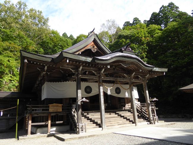 10月7日-9日の2泊3日、信州へ行きました♪<br />紅葉の山・神社・そば/松茸のグルメ・温泉を楽しんできました♪<br /><br />☆Ｖｏｌ２：第１日目（１０月７日）　戸隠♪<br />長野駅から専用車チャーターで戸隠へ。<br />戸隠ははじめて。<br />近くの妙高高原や赤倉温泉は40年も前に冬のスキーに行ったことがある。<br />戸隠神社は中社と奥社があり、<br />まずは、中社を参拝。<br />古式ゆかしい神社の佇まい。<br />凛とした空気が流れ、<br />優雅な雰囲気。<br />ゆったりと参拝したら、建物や周囲の景観を楽しむ。<br />裏には小さな滝もある。<br />ゆったりと眺めて♪