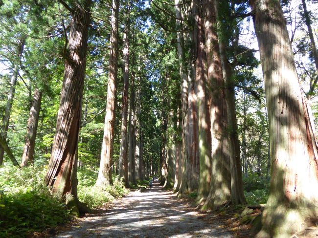 10月7日-9日の2泊3日、信州へ行きました♪<br />紅葉の山・神社・そば/松茸のグルメ・温泉を楽しんできました♪<br /><br />☆Ｖｏｌ４：第１日目（１０月７日）　戸隠♪<br />鏡池からの絶景を楽しんだら、<br />戸隠神社・奥社へ。<br />参道から奥社へ片道40分もかかる。<br />古来より変わらぬ杉並木の参道。<br />ゆったりと歩く。<br />それにしても欧米人観光客が多いこと。<br />ここでも国際観光地になっていることを実感。<br />ゆったりと眺めて♪