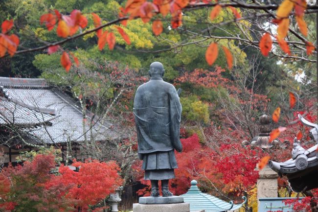 奈良の旅「若草山・正暦寺と奈良学文化講座」だけではもったい、<br />やっぱり、京都の紅葉を楽しみ、東京に戻ります。<br /><br />第1日め<br />貴船神社　→　下鴨神社　→　相国寺　→　京都御苑<br /><br />京都駅からJR奈良線を1駅乗り、東福寺駅で京阪電車に乗り換え、<br />出町柳駅から叡山電車で貴船口駅まで１時間15分。<br /><br />貴船口駅駅からバス5分で貴船のバス停まで行けるのですが、<br />発車時間までかなり時間があるで、<br />ここはのんびりと紅葉を眺めながら30分歩くことにしました。<br /><br />貴船の街道沿いには高級なお宿が軒を連ね、<br />夏には床が設けられる貴船川沿いをだらだらと歩くと、<br />貴船神社本宮の石段が見えてきました。<br /><br />やはり女性の姿のほうが多い･･･。<br />和泉式部が元夫との復縁を祈り参詣し叶ったので、<br />「恋を祈る神社」として広まったそうな、ふむふむ。<br /><br />水を司る神様、たかおかみのかみをおまつりする神社、<br />「御神水」が境内にある。<br />専ら、水みくじに使用されているようですが、<br />私は薬用に小さなペットボトルを持ち歩いているので、<br />有難くいただき、ごくごく。<br /><br />次は貴船神社奥宮へ歩くこと20分。<br />本殿でおまいり後、<br />「船形石」を拝んで、航海安全の石をいただく。<br />来月航海じゃなく、飛行だけど、<br />海の上を旅することには違わないよねと（笑）<br /><br />最後に結社の中宮、ここら辺から雨粒が落ち出し始めました。<br /><br />朝のニュースでは夕方から雨が降るとの予報、<br />貴船から鞍馬寺に木の根道を通って移動する計画だったのに！<br /><br />でも、足元が不案内で転んでもね～ということで、<br />市内に戻ることに決定。<br /><br />ちょうど貴船口駅までのバスがきたので、乗車5分。<br />朝歩いてきた道をあっという間に通過、<br />ちょうど来た叡山電車は「きらら号」<br />座席は満席だったけれど、先頭の窓から「もみぢのトンネル」を見る。<br />途中駅からこのリゾート車両の席に座れ、小さな喜びでニコッと。<br /><br />さて、計画変更、どうしようかな？<br />とりあえずはお昼ごはんだ。<br />今はスマホですぐに検索できるから便利！便利！<br /><br />「下鴨デリ」で体によさそうなランチを取ることに。<br /><br />下鴨神社の近くなので、まずはお参りお参り。<br /><br />下鴨デリから西方向に東鞍馬口通り・鞍馬口通り、<br />南に方向転換し烏丸通りを歩いて30分、相国寺に着きました。<br /><br />昨夜、京都駅で承天閣美術館の若冲展の広告を見て、<br />脳裏に焼きついていたんでしょうね。<br />コロタイプ印刷の動植さい絵のほか、鹿苑寺の障壁画などを鑑賞。<br /><br />本物の動植さい絵は4月に東京都美術館へ見に行ったのですが、<br />あまりの人混みにゆっくり鑑賞できなかったので、<br />細部までじっくり鑑賞でき、これはこれでよかったのかも。<br /><br />春に京都御苑の桜を見に訪れてからはや7ヶ月、<br />桜の葉の紅葉もきれいでした。<br /><br />地下鉄東西線の丸太町駅から京都駅に移動。<br />今日の歩数は22,881歩。<br /><br />夕食は伊勢丹の11F、湯葉料理の「松山」で舌鼓。<br /><br />第2日め<br />長岡京　光明寺　→　乙訓寺　→　長岡天満宮　→　京都駅　→　東京駅<br /><br />JRで約10分、長岡京駅からはバスで光明寺へ。<br />夜明けの雨が残る山門、開門の9時前に到着。<br /><br />雨に濡れた表参道の石段の上には、<br />きれいに染まった赤･黄、そして緑の葉っぱ。<br />さすが法然さんのお寺、大きいです。<br />御影堂・釈迦堂・御火葬跡・鎮守社・もみじ参道をゆっくり回ること、<br />約2時間。<br /><br />次は乙訓寺へ歩くこと、30分。<br />事前予約した毘沙門天立像を拝観させていただく。<br />推古天皇の勅願所、かなり古いお寺、牡丹で有名な古刹ですが、<br />この時期は光明寺ほど人がいない･･･。<br /><br />長岡天満宮へ行く途中、ミスターラーメンでランチ。<br />カウンターのみのお店、がっつり系のラーメン屋さん。<br /><br />文化センターでトイレを借りて、乙訓寺から通算で40分で八条池。<br /><br />広々した池は春には桜の名所。<br /><br />長岡天満宮には錦景苑も併設、神社も紅葉がよく似合う。<br /><br />ここら辺はたけのこの里とのこと、<br />時期が違うけど、たけのこの佃煮を茶店で購入。<br />柿も美味しそうなのであわせて購入しちゃいました。<br /><br />紅葉の旅もこれで終了、京都駅に戻って、お弁当を買って、<br />気長にこだま号で帰京。<br /><br />本日の歩数は16,684歩。<br /><br />