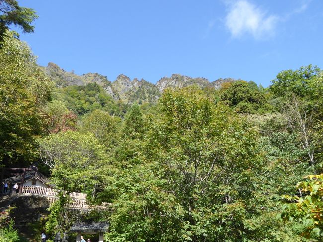 10月7日-9日の2泊3日、信州へ行きました♪<br />紅葉の山・神社・そば/松茸のグルメ・温泉を楽しんできました♪<br /><br />☆Ｖｏｌ５：第１日目（１０月７日）　戸隠♪<br />戸隠神社・奥社。<br />門から奥社への杉並木の参道をゆったりと歩く。<br />緩やかな傾斜で楽であるが、<br />奥社に近づくと急な階段に。<br />息を切らして上っていくと奥社が見えてくる。<br />ここが終点。<br />厳かに参拝。<br />そして奥社の上に屹立する戸隠連山。<br />色付き始めている。<br />ゆったりと眺めて休憩。<br />そして門へ帰る。<br />美しい自然を眺めながら足取り軽く♪