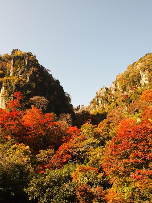 大分県　耶馬渓の紅葉<br />今日は　日帰りの紅葉狩りを楽しみました.。o○<br /><br />新日本三景の一つで　国の名勝に指定されている耶馬渓。<br />本耶馬渓、裏耶馬渓、深耶馬渓と広い範囲で紅葉を楽しむことができます。<br /><br />絶壁や石柱が連なる岩峰に　真っ赤に燃えたヤマモミジが色を添えます。