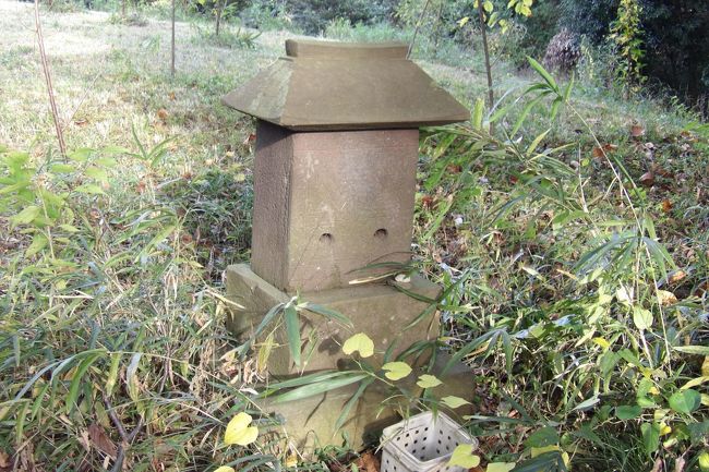 　舞岡公園から北上する尾根道も田圃と舞岡上郷線で分断されているが、舞岡熊之堂から北にも尾根道が伸びている。ココテラス横濱戸塚の間の道を北上すると、火の見櫓が残されている。この横の階段を上ると尾根に上がり、この尾根道の入り口に石祠がある。このことから、この尾根道はかつての街道であったのだろう。<br />　この尾根道は比較的平坦で、道も案外真っ直ぐに伸びている。また、この尾根道の西側か両側には山桜が植えられており桜並木になっている。鎌倉市今泉の尾根道のような大島桜の桜並木ではないであろうが、古木も多く見られる。春の桜の頃に訪れて、ただの山桜なのかそれとも大島桜なのか確かめなくてはならないだろう。<br />　この尾根道から右や左に下る道も何ヶ所かあるが、なるべく真っ直ぐに進むと比較的新しそうな不動明王などの供養塔がある。この尾根道の終点か？と思うと、1体だけではなく、ぽつぽつと何体は建てられている。ではお寺の裏山か？と思ったが、そうではない。尾根道を下りると水田が見え、戸塚区吉田町の八幡山裏手の谷戸の休日には子供たちが野球をしているグランドの先に当たる。山の端の先には舞岡中が見える。この一角には寶蔵院の墓地があり、この一帯は寶蔵院の用地なのだという、まるで、供養塔が建てられた公園のようだ。植えられた山茶花が花を咲かせている。<br />　鎌倉市まで行かなくてもい、横浜市内のこ<br />んな近くに桜並木の旧街道が残されていたのには驚いた。そういえば、舞岡公園の尾根にも山桜が植えられた一角があった。ここ相模国鎌倉郡では江戸時代に、尾根道の街道に山桜を植え、桜並木の街道にすることが多く行われたのであろう。歴史のロマンを感じることができた。<br />（表紙写真は尾根道の入口にある石祠）