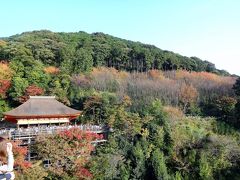 京都旅行2016秋 柊屋別館泊 若冲のゆかりを訪ねて②