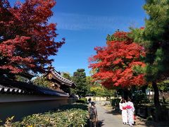 ～★☆チャリポタで巡る秋の紅葉《2016・11 京都編》☆★～