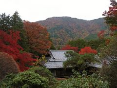 菊華荘の紅葉はまだまだ見頃（11月17日）