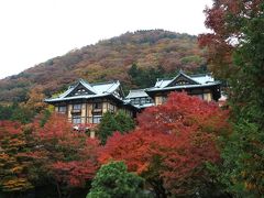 花御殿の紅葉はまだまだ見頃（11月17日）